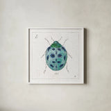 Outdoor Beauties VIII Color by Daphne Brissonnet. Shown in a crisp white glass frame for a clean and minimalist style. Available as an archival giclee rolled canvas, fine art paper, or poster print. SKU 54840a.