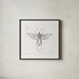 Outdoor Beauties X by Daphne Brissonnet. Shown in a sleek black glass frame for a contemporary gallery look. Available as an archival giclee rolled canvas, fine art paper, or poster print. SKU 41736a.