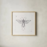 Outdoor Beauties X by Daphne Brissonnet. Shown in a natural wood glass frame for a timeless modern aesthetic. Available as an archival giclee rolled canvas, fine art paper, or poster print. SKU 41736a.