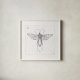 Outdoor Beauties X by Daphne Brissonnet. Shown in a crisp white glass frame for a clean and minimalist style. Available as an archival giclee rolled canvas, fine art paper, or poster print. SKU 41736a.