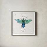 Outdoor Beauties X Color by Daphne Brissonnet. Shown in a sleek black glass frame for a contemporary gallery look. Available as an archival giclee rolled canvas, fine art paper, or poster print. SKU 54842a.