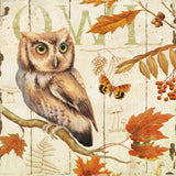 Owl Lodge I by Daphne Brissonnet. SKU 15066a. Archival Giclee Fine art print for wall decor.