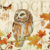Owl Lodge II by Daphne Brissonnet. SKU 15067a. Archival Giclee Fine art print for wall decor.