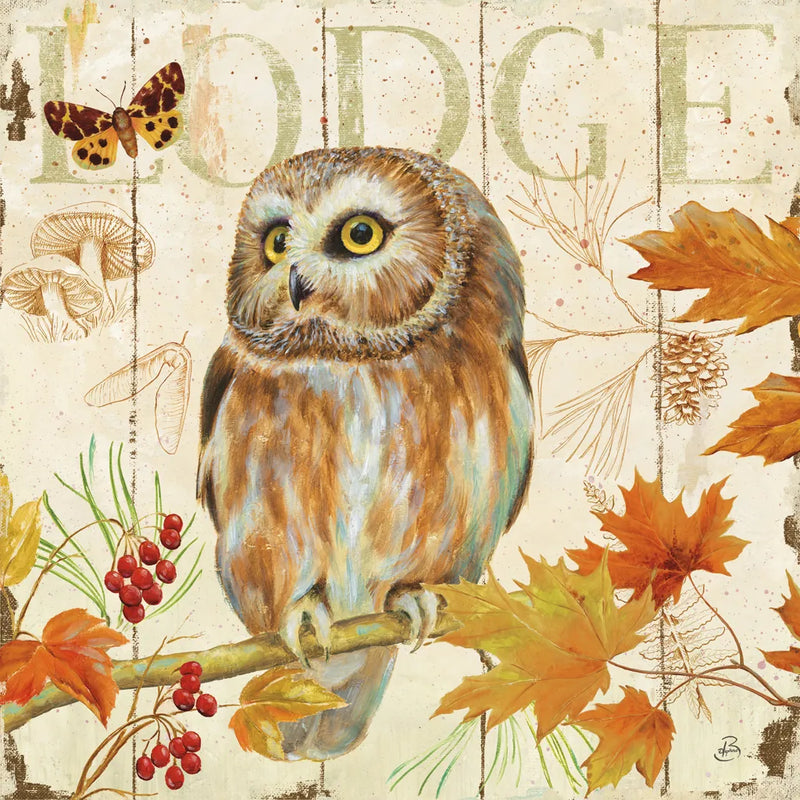 Owl Lodge II by Daphne Brissonnet. SKU 15067a. Archival Giclee Fine art print for wall decor.