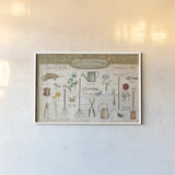 Royal Garden I by Daphne Brissonnet. shown as a paper print in a white frame. Available as a archival giclee rolled canvas, fine art paper, or poster print. SKU 47243i.