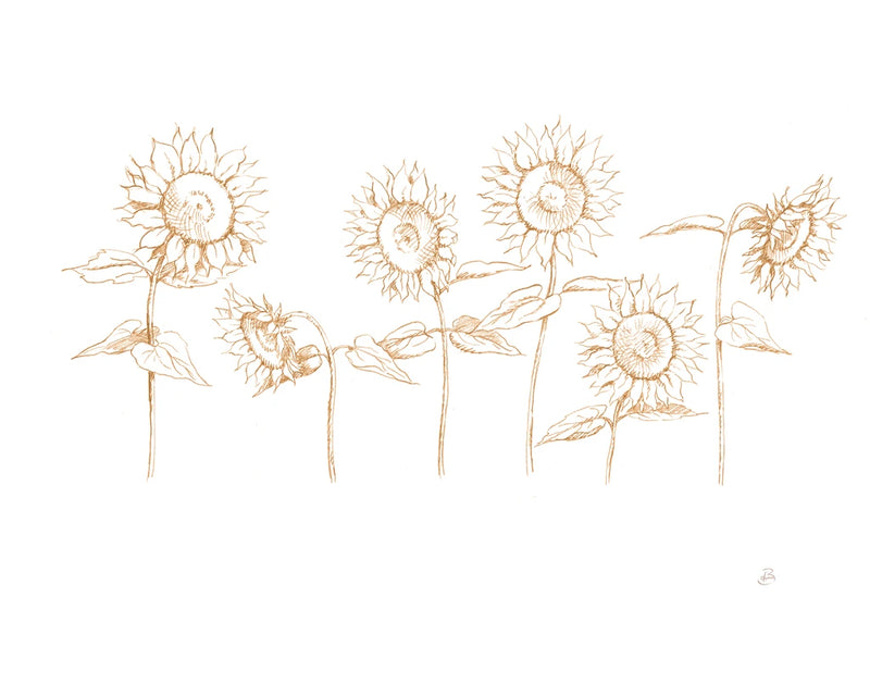 Sunshine Seeds III by Daphne Brissonnet