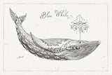 Underwater Life I by Daphne Brissonnet. SKU 33457i. Archival Giclee Fine art print for wall decor.