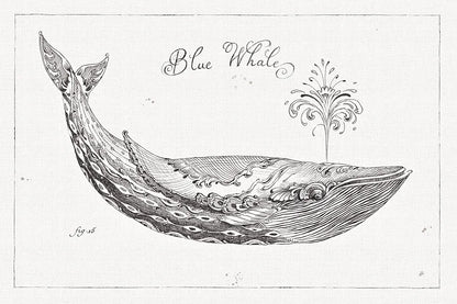 Underwater Life I by Daphne Brissonnet. SKU 33457i. Archival Giclee Fine art print for wall decor.