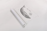 Underwater Life I by Daphne Brissonnet. shown as a rolled paper print. Available as archival giclee rolled canvas, fine art paper, or poster print. SKU 33457i.