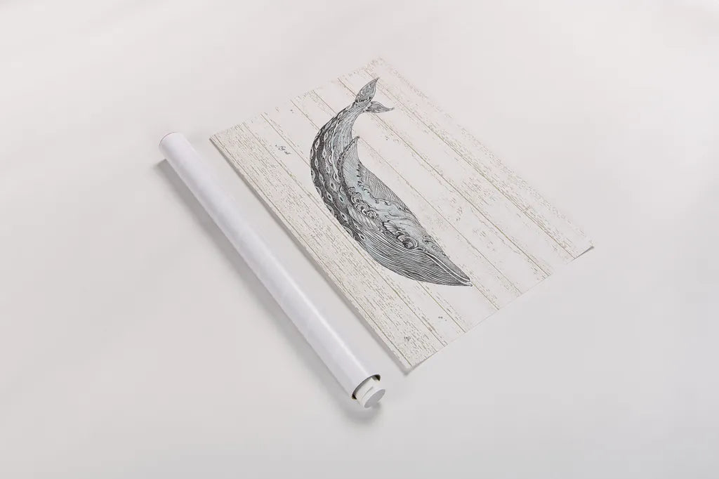 Underwater Life I Blue by Daphne Brissonnet. shown as a rolled paper print. Available as archival giclee rolled canvas, fine art paper, or poster print. SKU 36810i.