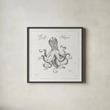Underwater Life II by Daphne Brissonnet. Shown in a sleek black glass frame for a contemporary gallery look. Available as an archival giclee rolled canvas, fine art paper, or poster print. SKU 33458a.