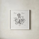 Underwater Life II by Daphne Brissonnet. Shown in a crisp white glass frame for a clean and minimalist style. Available as an archival giclee rolled canvas, fine art paper, or poster print. SKU 33458a.
