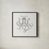 Underwater Life III by Daphne Brissonnet. Shown in a sleek black glass frame for a contemporary gallery look. Available as an archival giclee rolled canvas, fine art paper, or poster print. SKU 33459a.