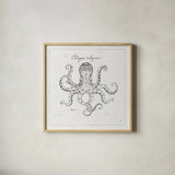 Underwater Life III by Daphne Brissonnet. Shown in a natural wood glass frame for a timeless modern aesthetic. Available as an archival giclee rolled canvas, fine art paper, or poster print. SKU 33459a.