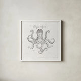 Underwater Life III by Daphne Brissonnet. Shown in a crisp white glass frame for a clean and minimalist style. Available as an archival giclee rolled canvas, fine art paper, or poster print. SKU 33459a.