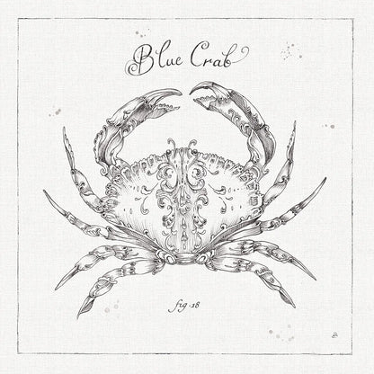 Underwater Life IV by Daphne Brissonnet. SKU 33460a. Archival Giclee Fine art print for wall decor.