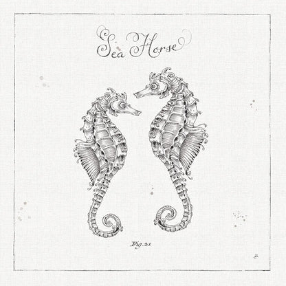 Underwater Life V by Daphne Brissonnet. SKU 33461a. Archival Giclee Fine art print for wall decor.