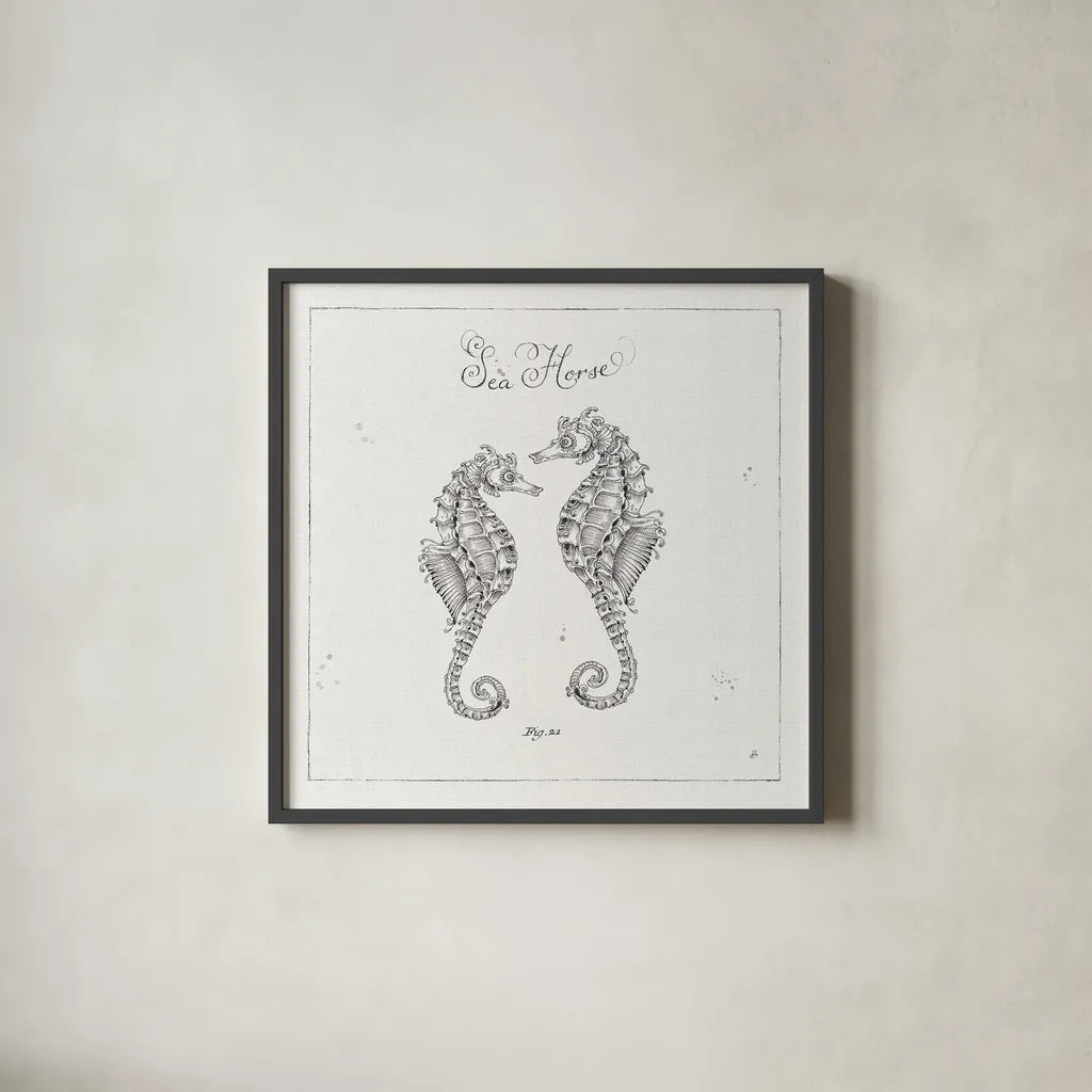 Underwater Life V by Daphne Brissonnet. Shown in a sleek black glass frame for a contemporary gallery look. Available as an archival giclee rolled canvas, fine art paper, or poster print. SKU 33461a.