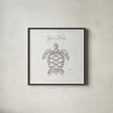 Underwater Life VIII by Daphne Brissonnet. Shown in a sleek black glass frame for a contemporary gallery look. Available as an archival giclee rolled canvas, fine art paper, or poster print. SKU 33464a.