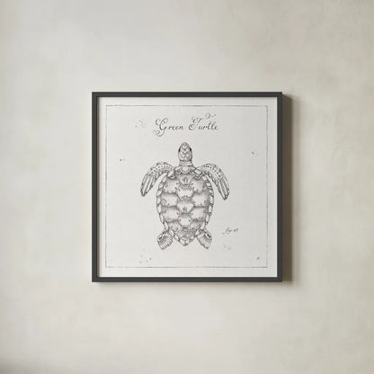 Underwater Life VIII by Daphne Brissonnet. Shown in a sleek black glass frame for a contemporary gallery look. Available as an archival giclee rolled canvas, fine art paper, or poster print. SKU 33464a.