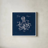 Underwater Life X by Daphne Brissonnet. Shown in a crisp white glass frame for a clean and minimalist style. Available as an archival giclee rolled canvas, fine art paper, or poster print. SKU 33466a.