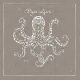 Underwater Life XI Greige by Daphne Brissonnet. SKU 33475a. Archival Giclee Fine art print for wall decor.