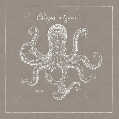 Underwater Life XI Greige by Daphne Brissonnet. SKU 33475a. Archival Giclee Fine art print for wall decor.