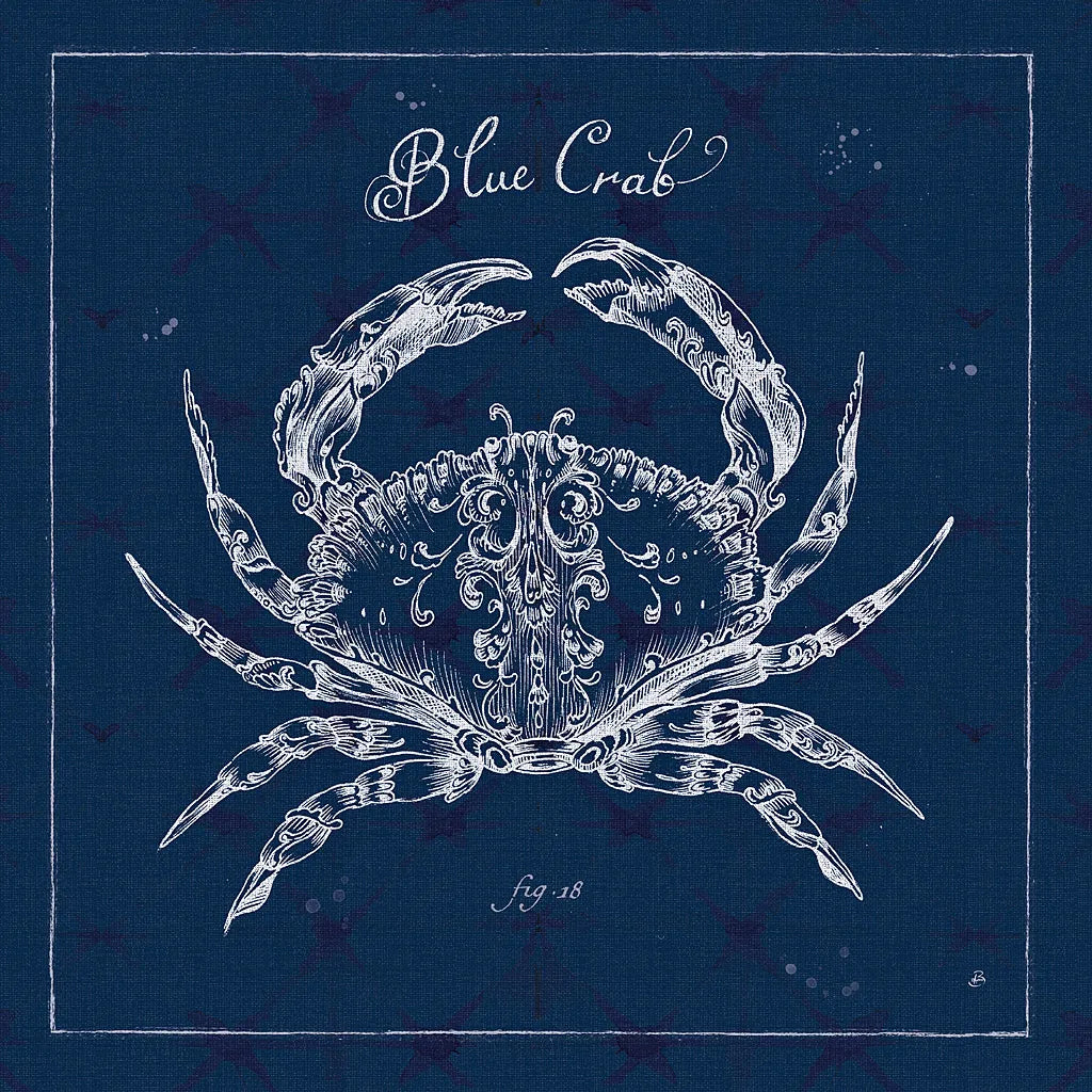 Underwater Life XII by Daphne Brissonnet. SKU 33468a. Archival Giclee Fine art print for wall decor.