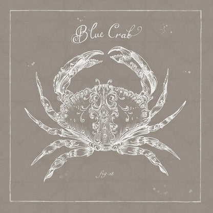 Underwater Life XII Greige by Daphne Brissonnet. SKU 33476a. Archival Giclee Fine art print for wall decor.