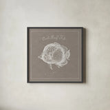 Underwater Life XIV Greige by Daphne Brissonnet. Shown in a sleek black glass frame for a contemporary gallery look. Available as an archival giclee rolled canvas, fine art paper, or poster print. SKU 33478a.