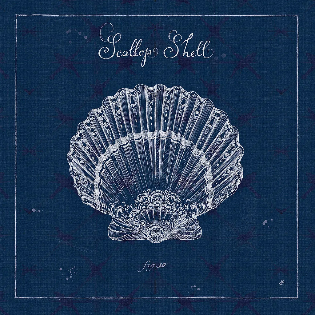 Underwater Life XV by Daphne Brissonnet. SKU 33471a. Archival Giclee Fine art print for wall decor.