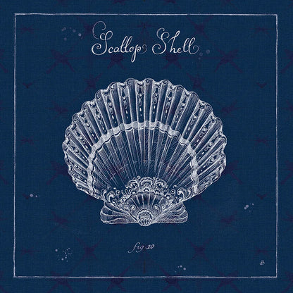 Underwater Life XV by Daphne Brissonnet. SKU 33471a. Archival Giclee Fine art print for wall decor.