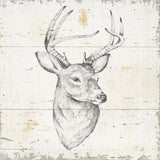 Wild and Beautiful I Sq by Daphne Brissonnet. SKU 64004a. Archival Giclee Fine art print for wall decor.