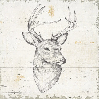 Wild and Beautiful I Sq by Daphne Brissonnet. SKU 64004a. Archival Giclee Fine art print for wall decor.