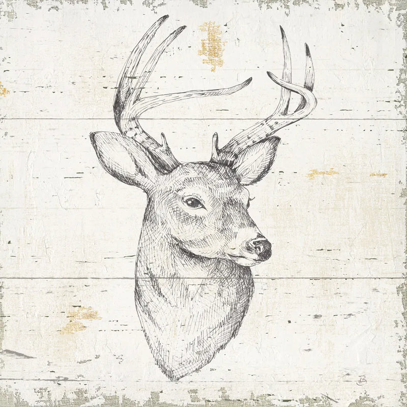 Wild and Beautiful I Sq by Daphne Brissonnet. SKU 64004a. Archival Giclee Fine art print for wall decor.