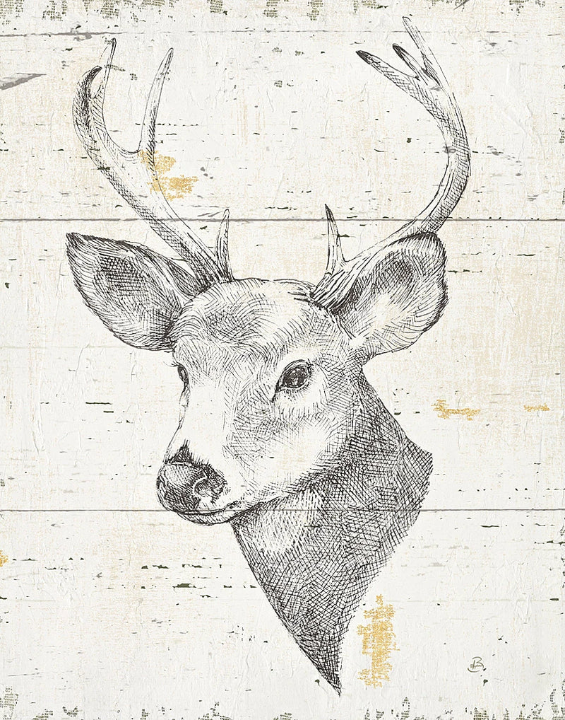Wild and Beautiful II by Daphne Brissonnet