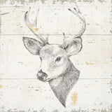 Wild and Beautiful II Sq by Daphne Brissonnet. SKU 64005a. Archival Giclee Fine art print for wall decor.