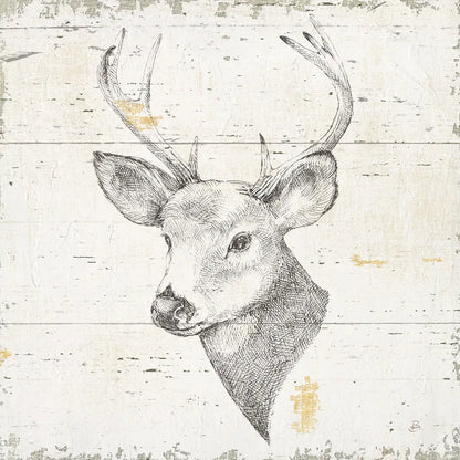 Wild and Beautiful II Sq by Daphne Brissonnet. SKU 64005a. Archival Giclee Fine art print for wall decor.