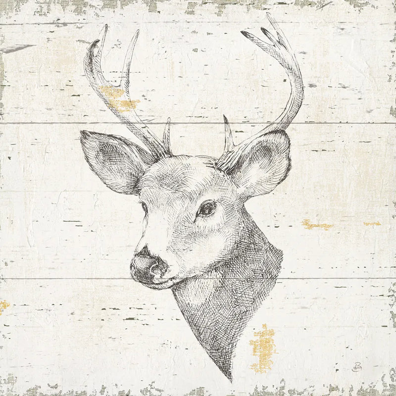 Wild and Beautiful II Sq by Daphne Brissonnet. SKU 64005a. Archival Giclee Fine art print for wall decor.