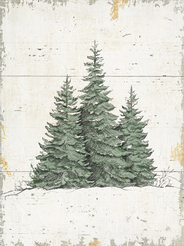 Wild and Beautiful Trees by Daphne Brissonnet