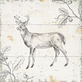 Wild and Beautiful VI by Daphne Brissonnet. SKU 28765a. Archival Giclee Fine art print for wall decor.