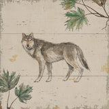 Wild and Beautiful VIII Color by Daphne Brissonnet. SKU 82943a. Archival Giclee Fine art print for wall decor.
