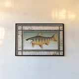 Brook Trout Birch Border by David Carter Brown. shown as a paper print in a black flame. Available as a archival giclee rolled canvas, fine art paper, or poster print. SKU 3162i.