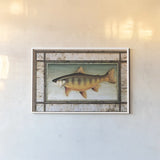 Brook Trout Birch Border by David Carter Brown. shown as a paper print in a white frame. Available as a archival giclee rolled canvas, fine art paper, or poster print. SKU 3162i.