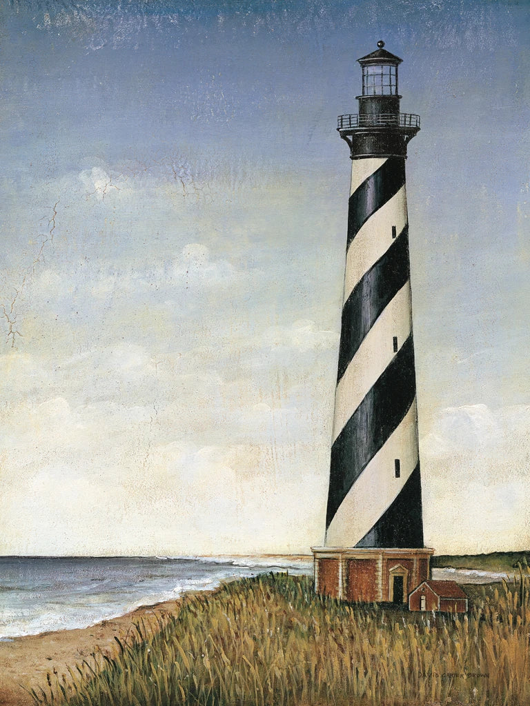 Coastal Light by David Carter Brown