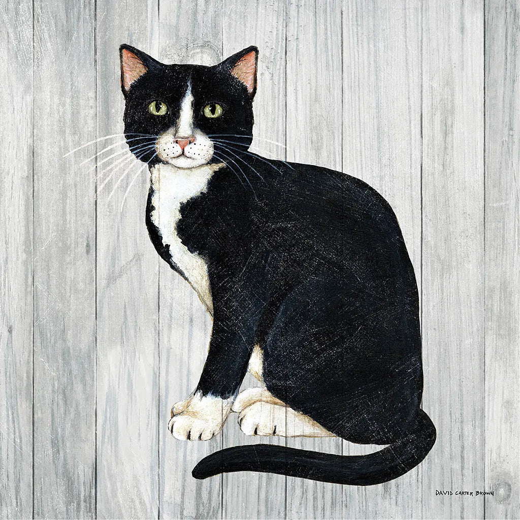Country Kitty I on Wood by David Carter Brown. SKU 26468a. Archival Giclee Fine art print for wall decor.