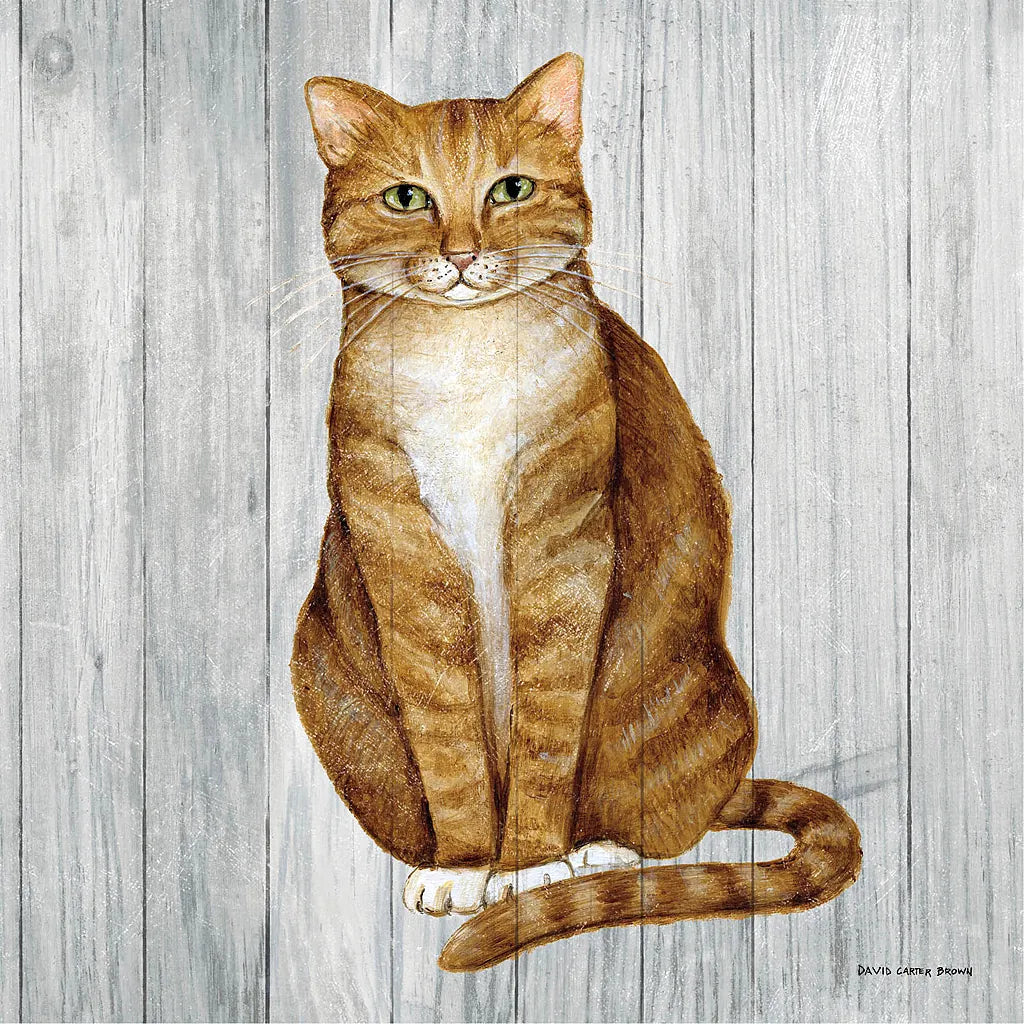 Country Kitty II on Wood by David Carter Brown. SKU 26469a. Archival Giclee Fine art print for wall decor.