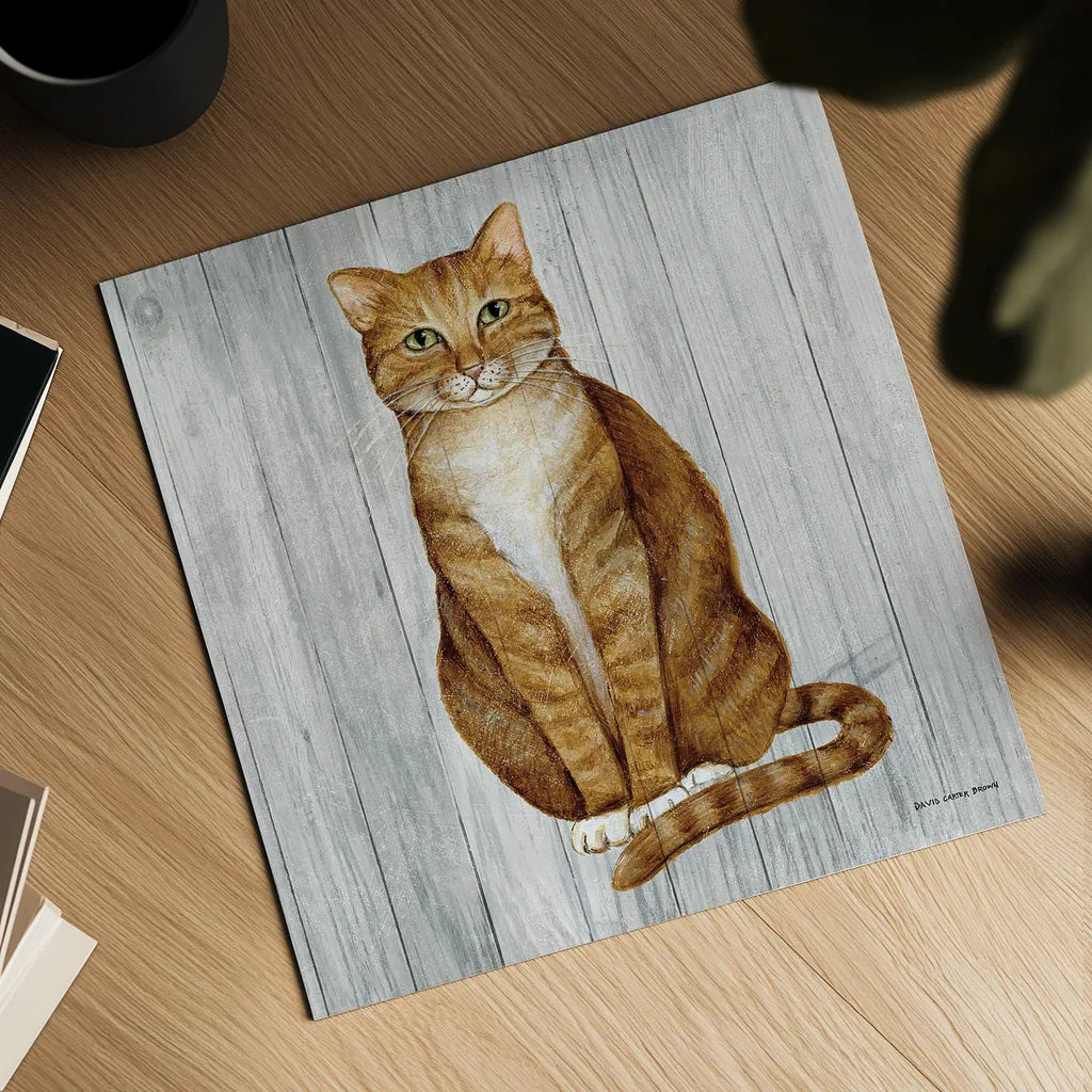 Country Kitty II on Wood by David Carter Brown. Shown as a detailed flat fine art print, highlighting archival giclee quality. Available as an archival giclee rolled canvas, fine art paper, or poster print. SKU 26469a.