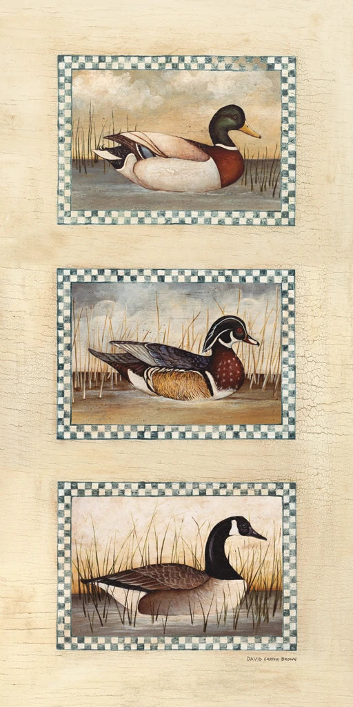 Ducks and Geese I by David Carter Brown
