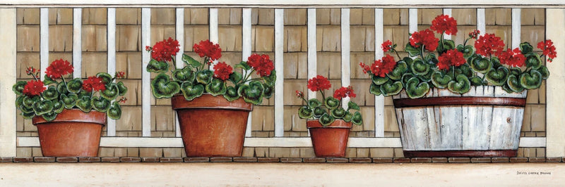 Geraniums by David Carter Brown